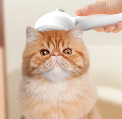 Steam Pet Comb-Sale🔥