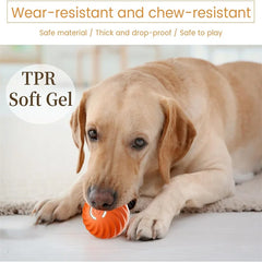 Rolling Ball Dog Toy-Sale✨