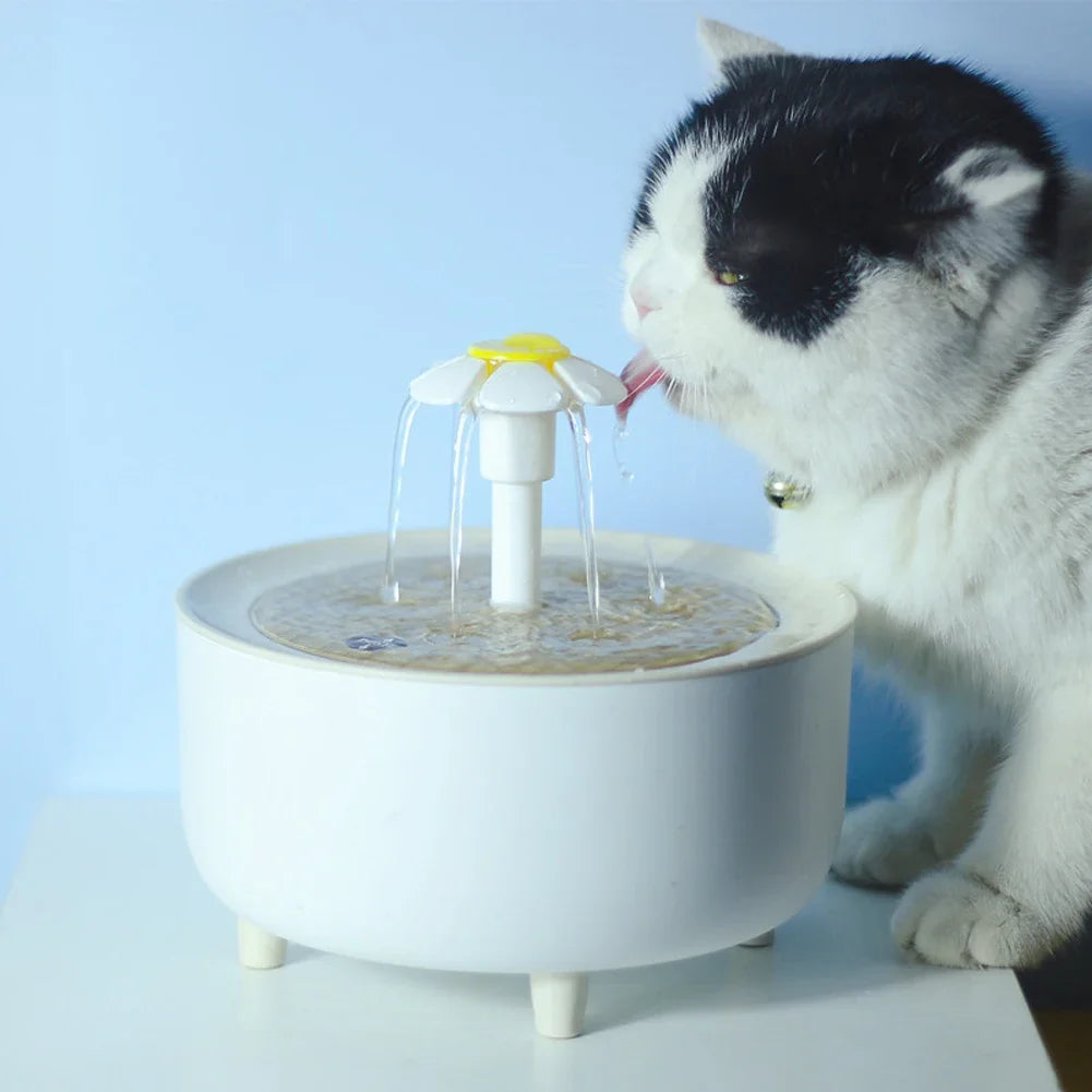 Automatic Cat Fountain