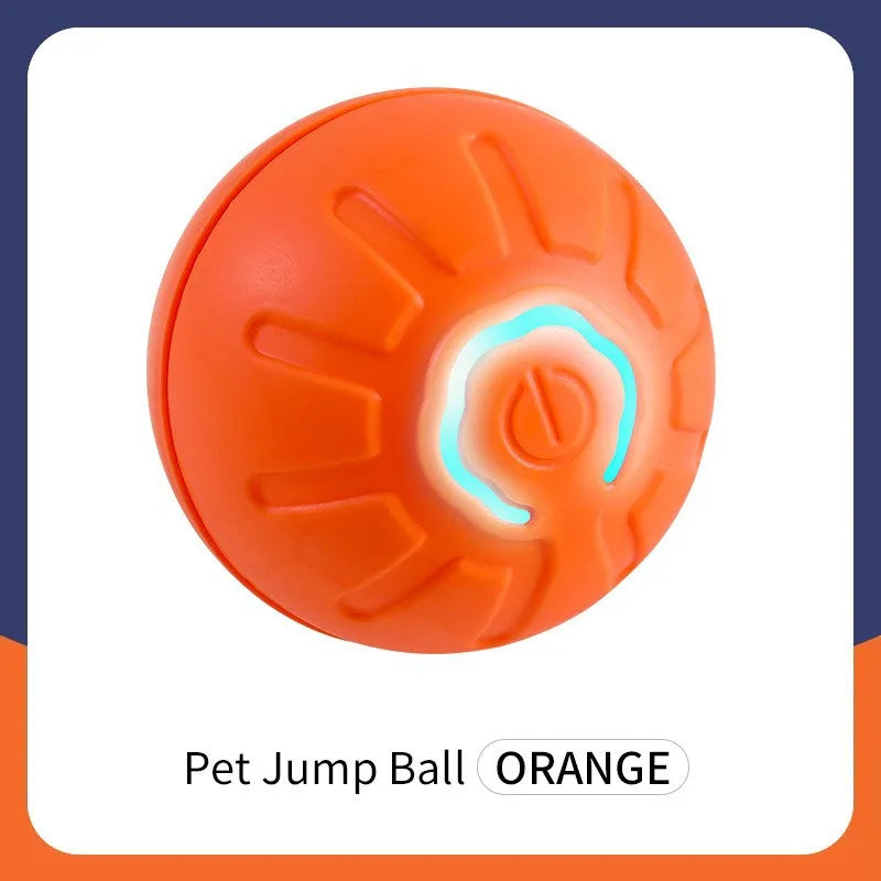 Rolling Ball Dog Toy-Sale✨