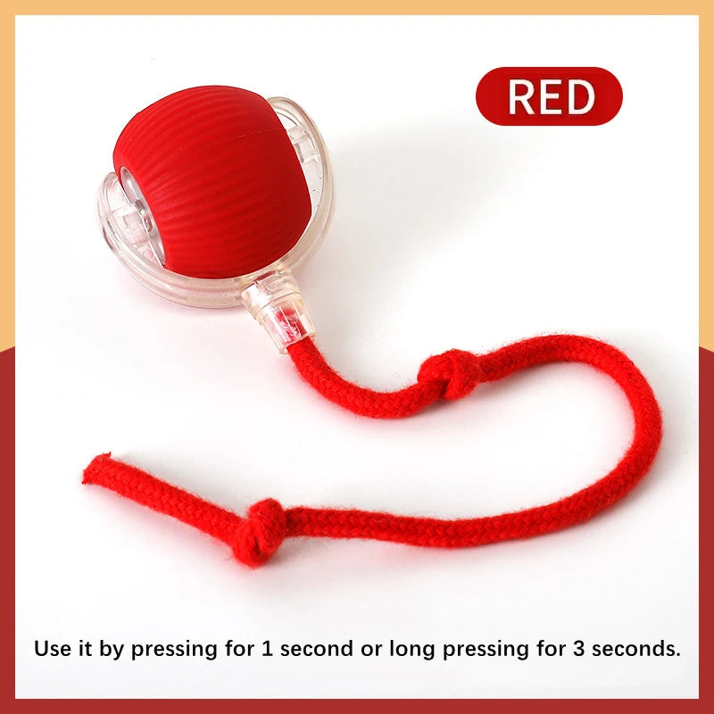 Rolling Ball Dog Toy-Sale✨